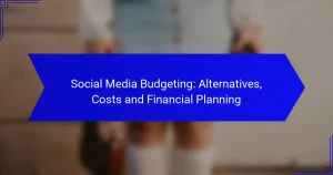 Social Media Budgeting: Alternatives, Costs and Financial Planning
