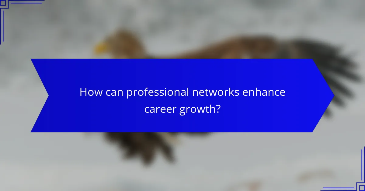 How can professional networks enhance career growth?
