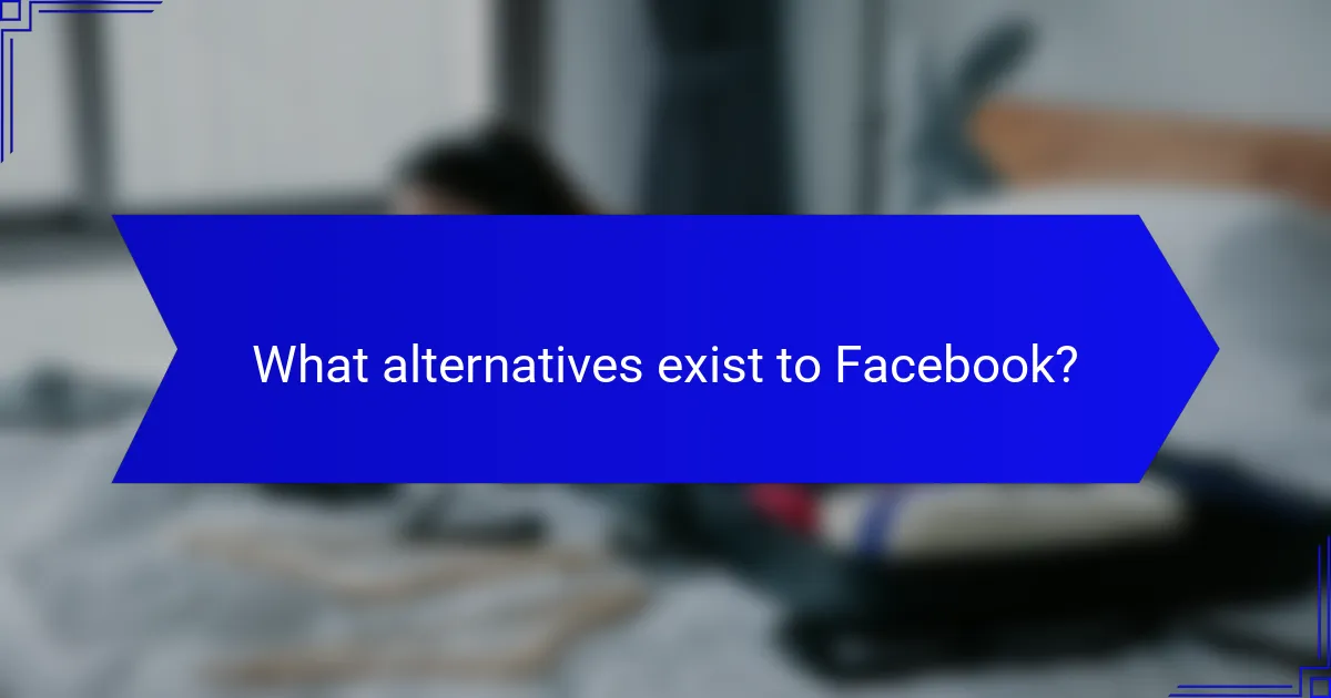What alternatives exist to Facebook?