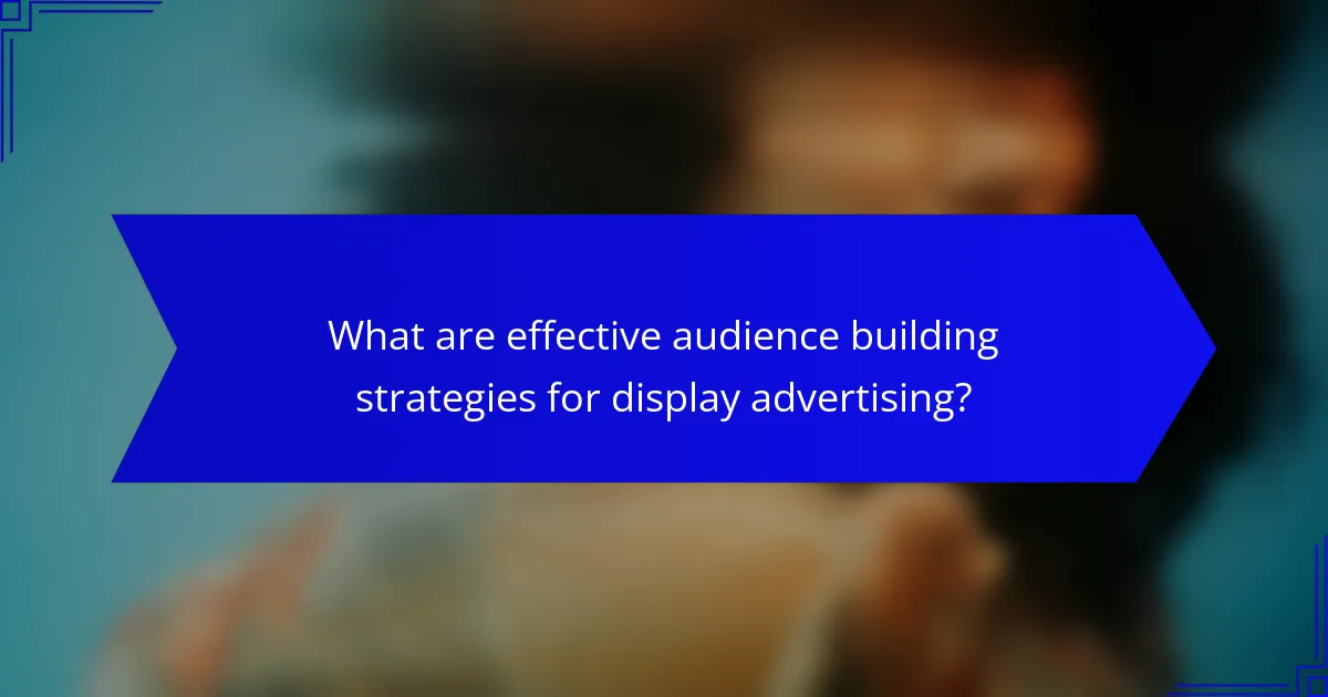 What are effective audience building strategies for display advertising?