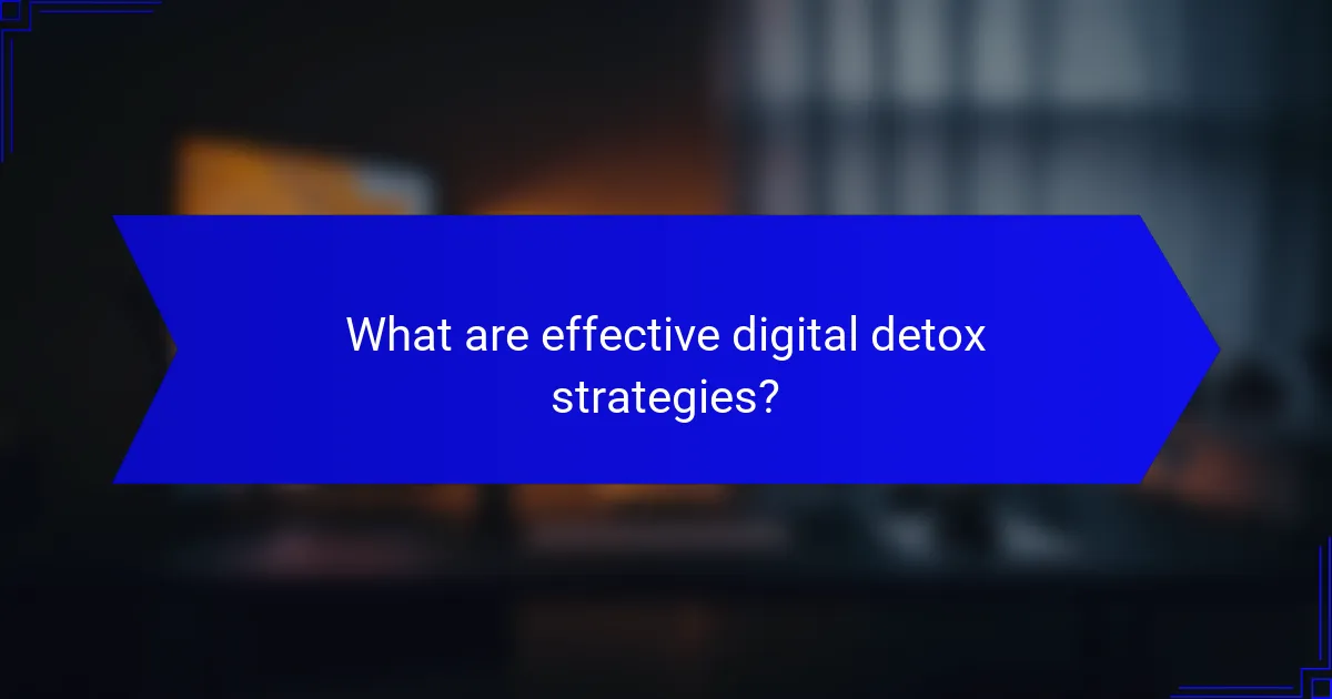 What are effective digital detox strategies?