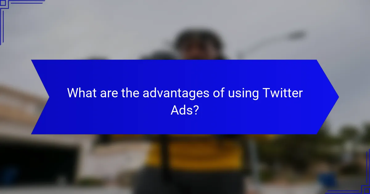 What are the advantages of using Twitter Ads?