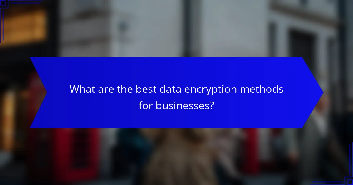 What are the best data encryption methods for businesses?