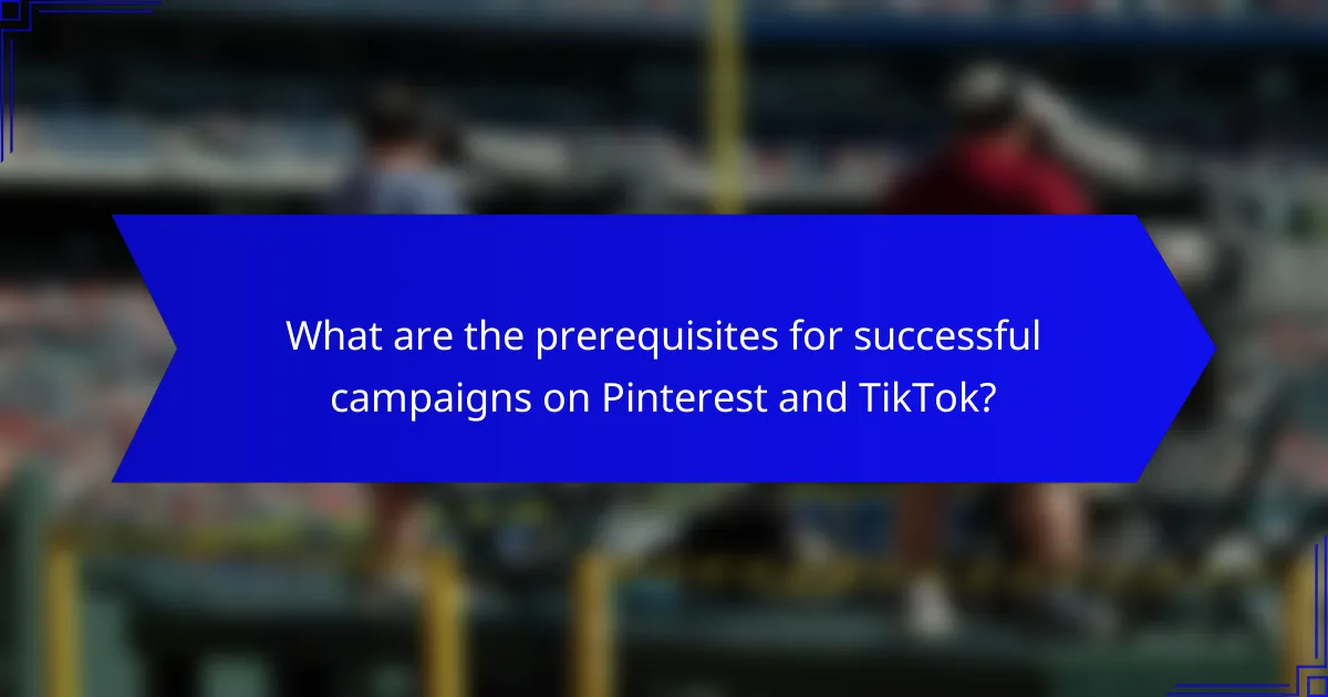 What are the prerequisites for successful campaigns on Pinterest and TikTok?