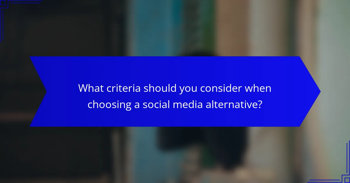 What criteria should you consider when choosing a social media alternative?