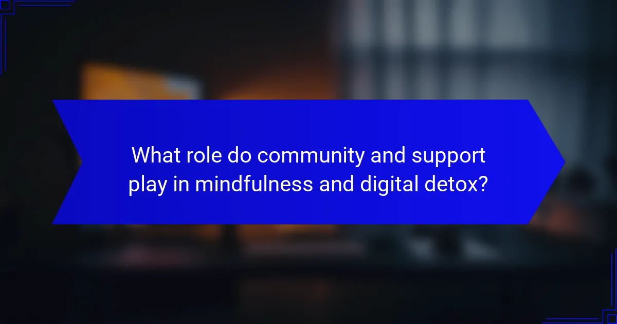 What role do community and support play in mindfulness and digital detox?
