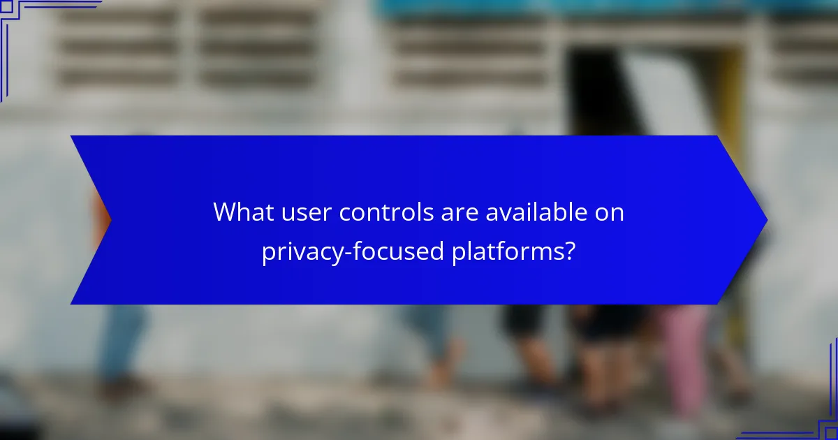 What user controls are available on privacy-focused platforms?