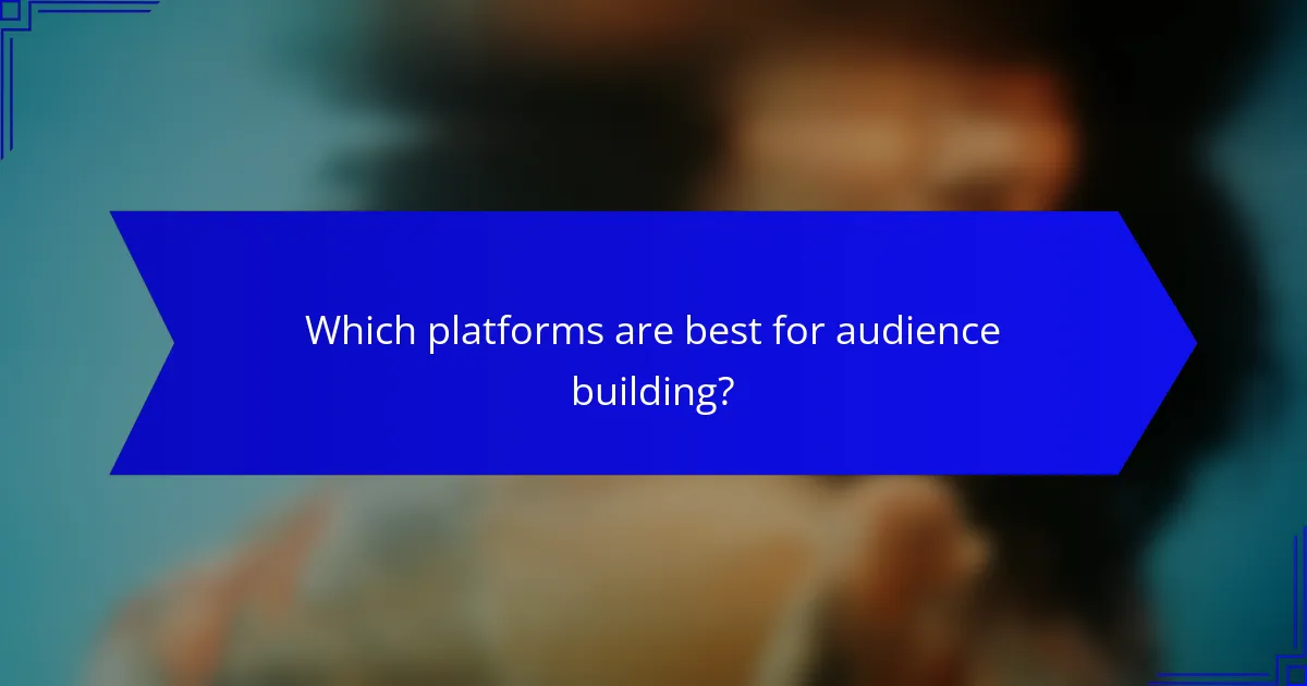 Which platforms are best for audience building?